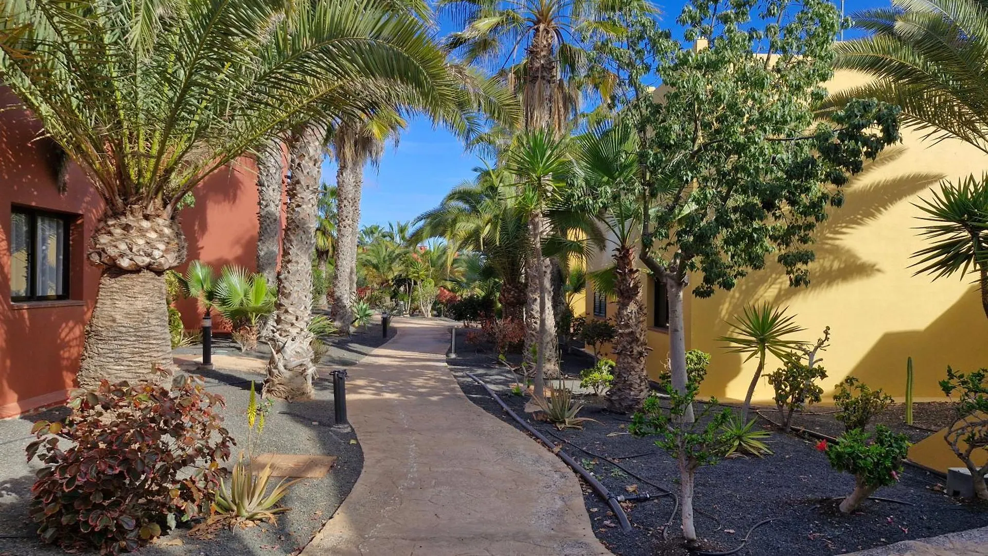 Daire Casa Surf Esperenza Dunas Corralejo