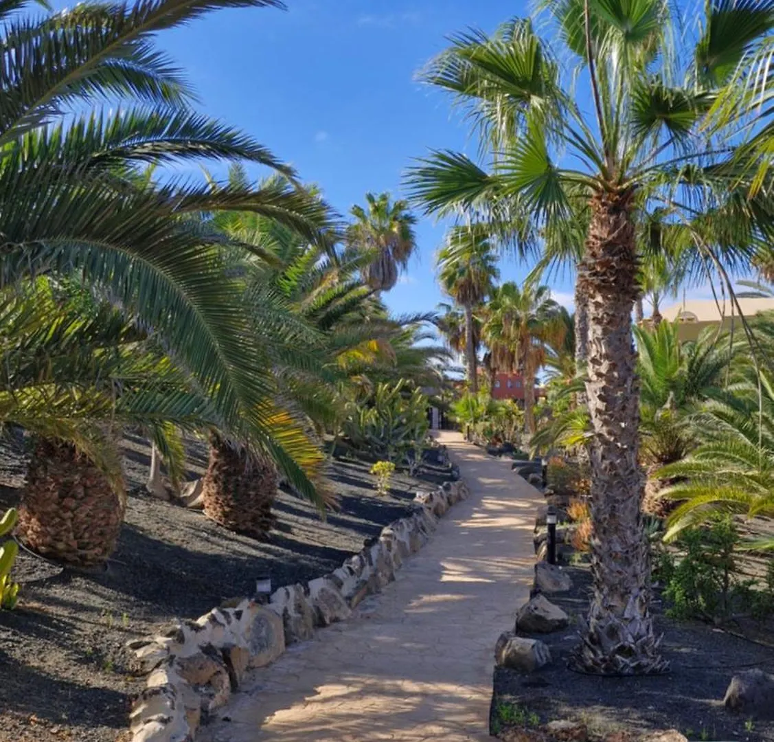 Daire Casa Surf Esperenza Dunas Corralejo İspanya